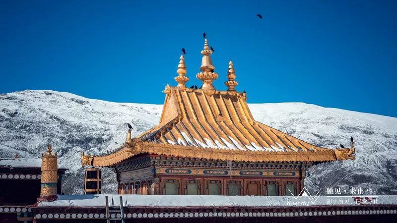 山南有哪些小寺庙,山南著名的寺庙有哪些