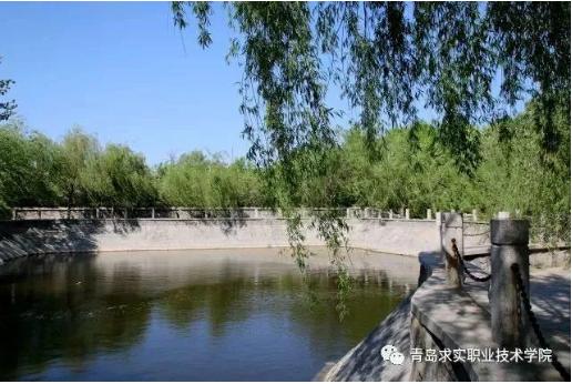 青岛求实学院最新消息,青岛求实职业学院是什么档次
