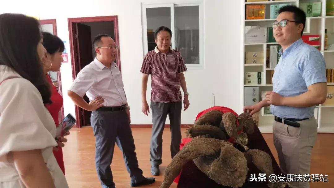 安康市十大杰出青年名单,安康十大杰出青年