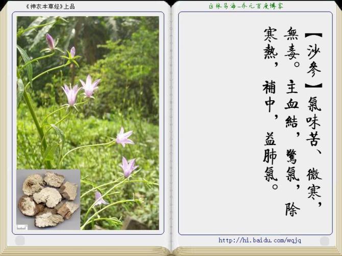 本草纲目中药讲解视频,本草纲目中药图谱及药理讲解