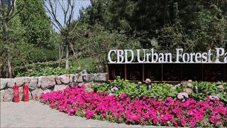 cbd白领生活,北京cbd白领下班回家