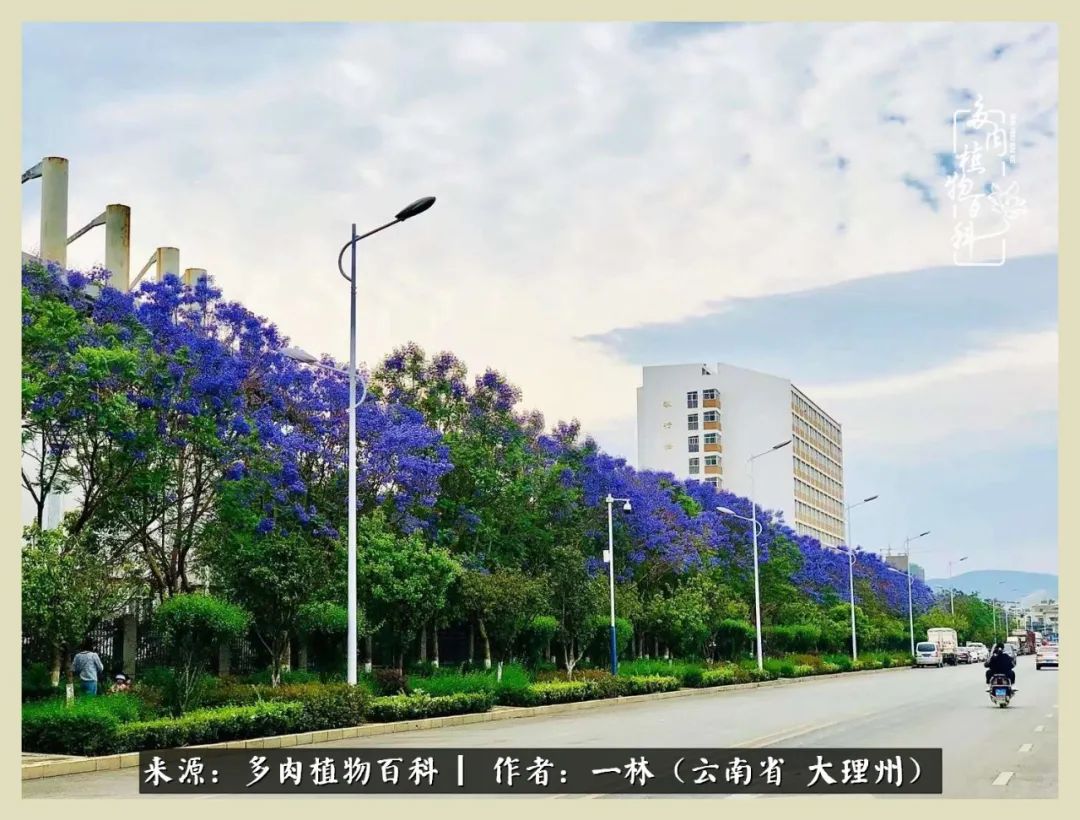 星光不问赶路人文案,时光不负有心人星光不负赶路人