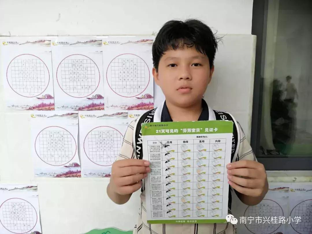 「21天可见的“芬芳宝贝”」成长簿No.12