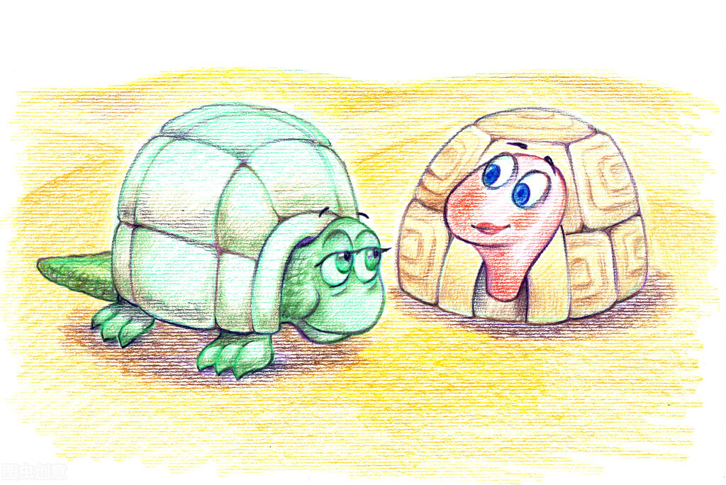 乌龟吃什么食物比较好,小乌龟吃什么日常食物