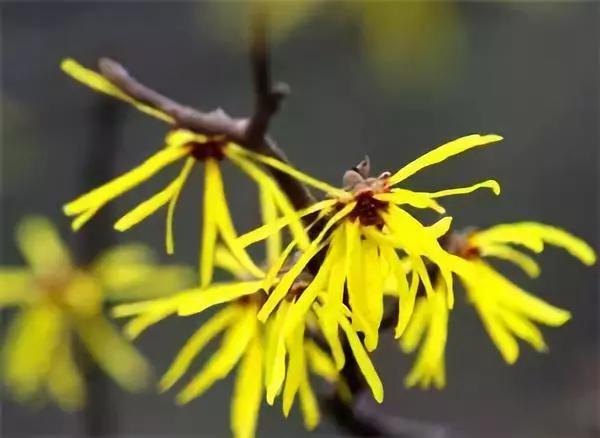 女孩说自己没有夜生活,女生有生活跟没生活可以看出来吗