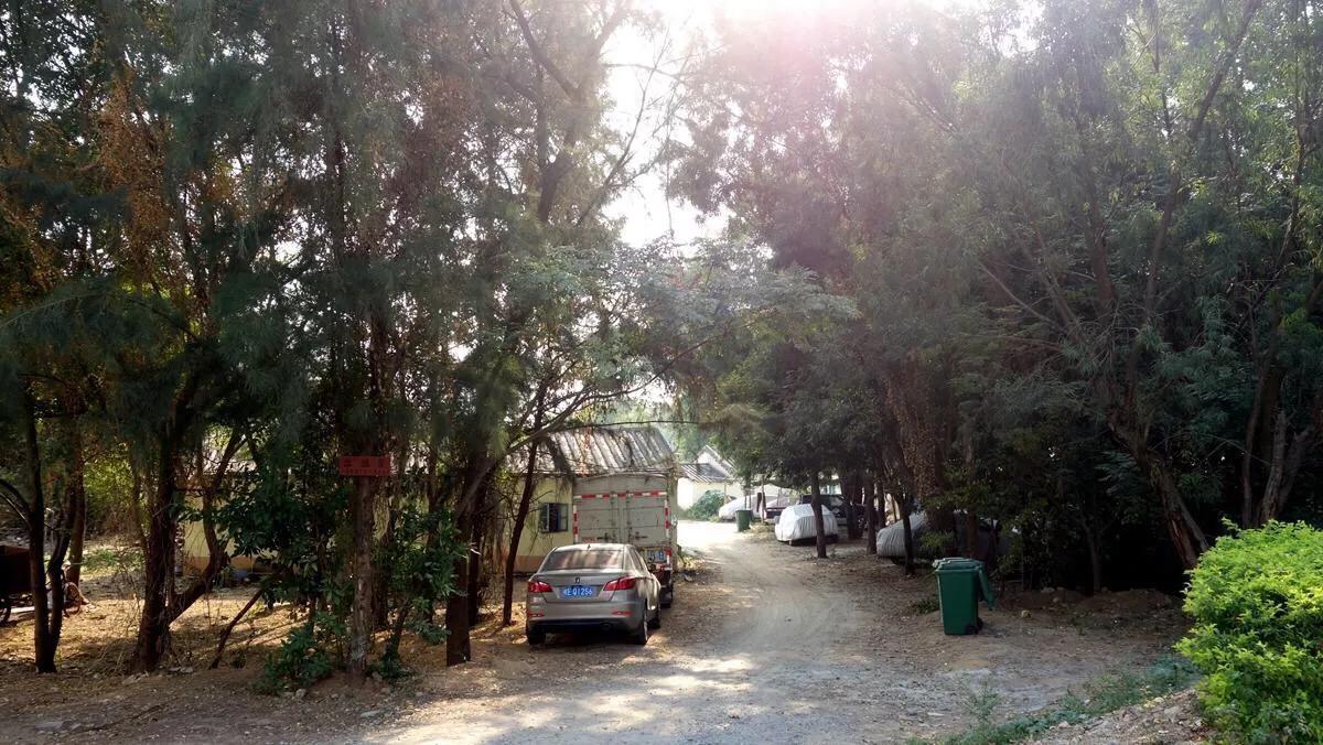 侨港边上的大、小老虎村，房租很低但住的人却很少，如今面临改造