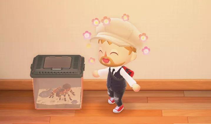 动物森友会怎么正常生活,动物森友会有哪些小动物会吵架