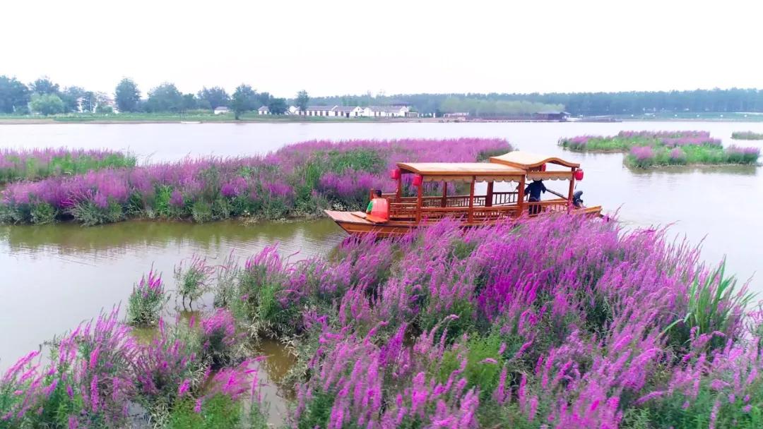 灌云有什么游玩的景点吗,灌云旅游景点推荐一日游