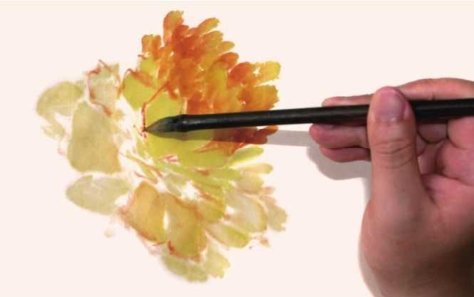 国画知识：牡丹不会画？教你3种牡丹画法，简单易学，快收藏起来