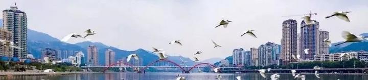 天下美景看青田,带你了解青田风情