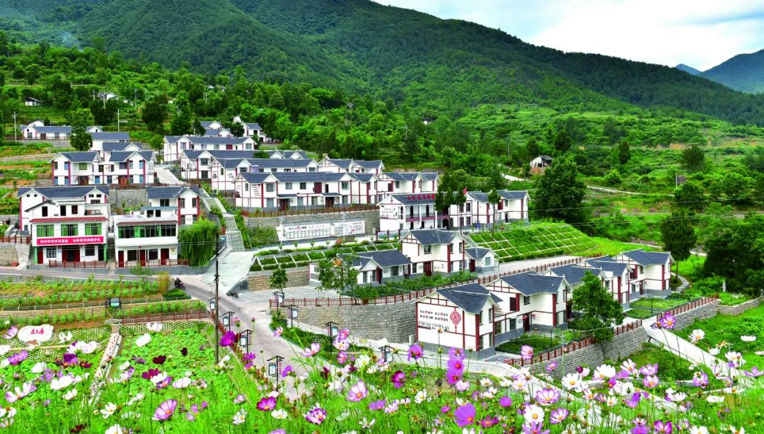 蜀青振兴贷是啥,蜀青振兴贷