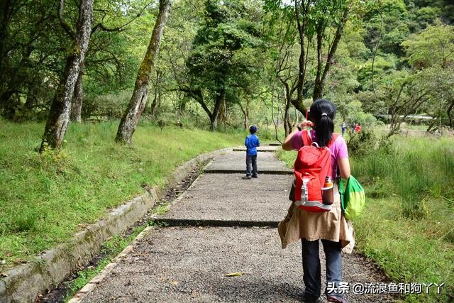 二郎山喇叭河看鹿,二郎山喇叭河看日出攻略