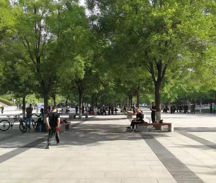 这座城最适合跑步的十大去处