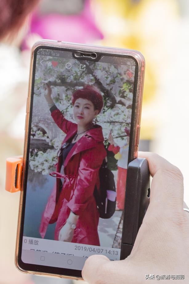 海棠花诗七绝,南宋海棠花图古诗