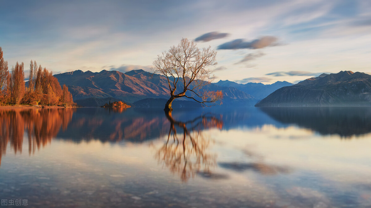 浦发信用卡分期利率计算,信用卡分期费率计算年化利率公式