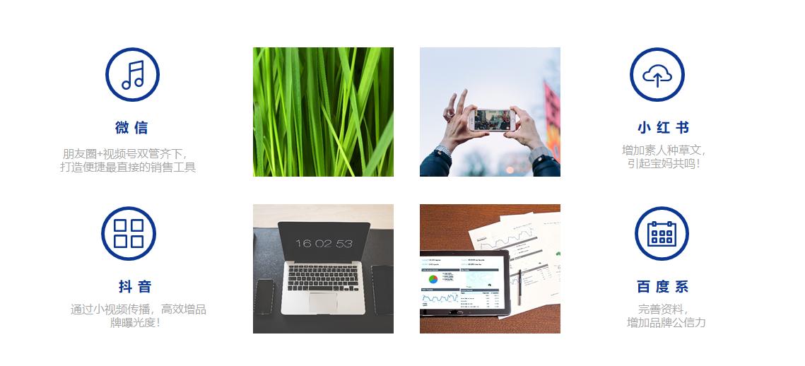 坦图奶粉官网,坦图奶粉本土版