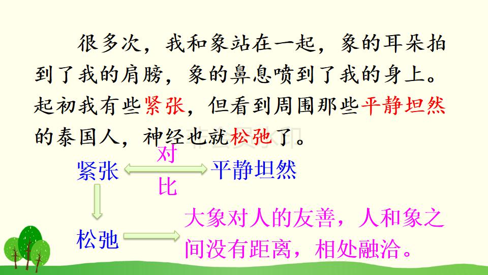 五年级下册与象共舞的作者是谁,与象共舞语文五年级下册老版