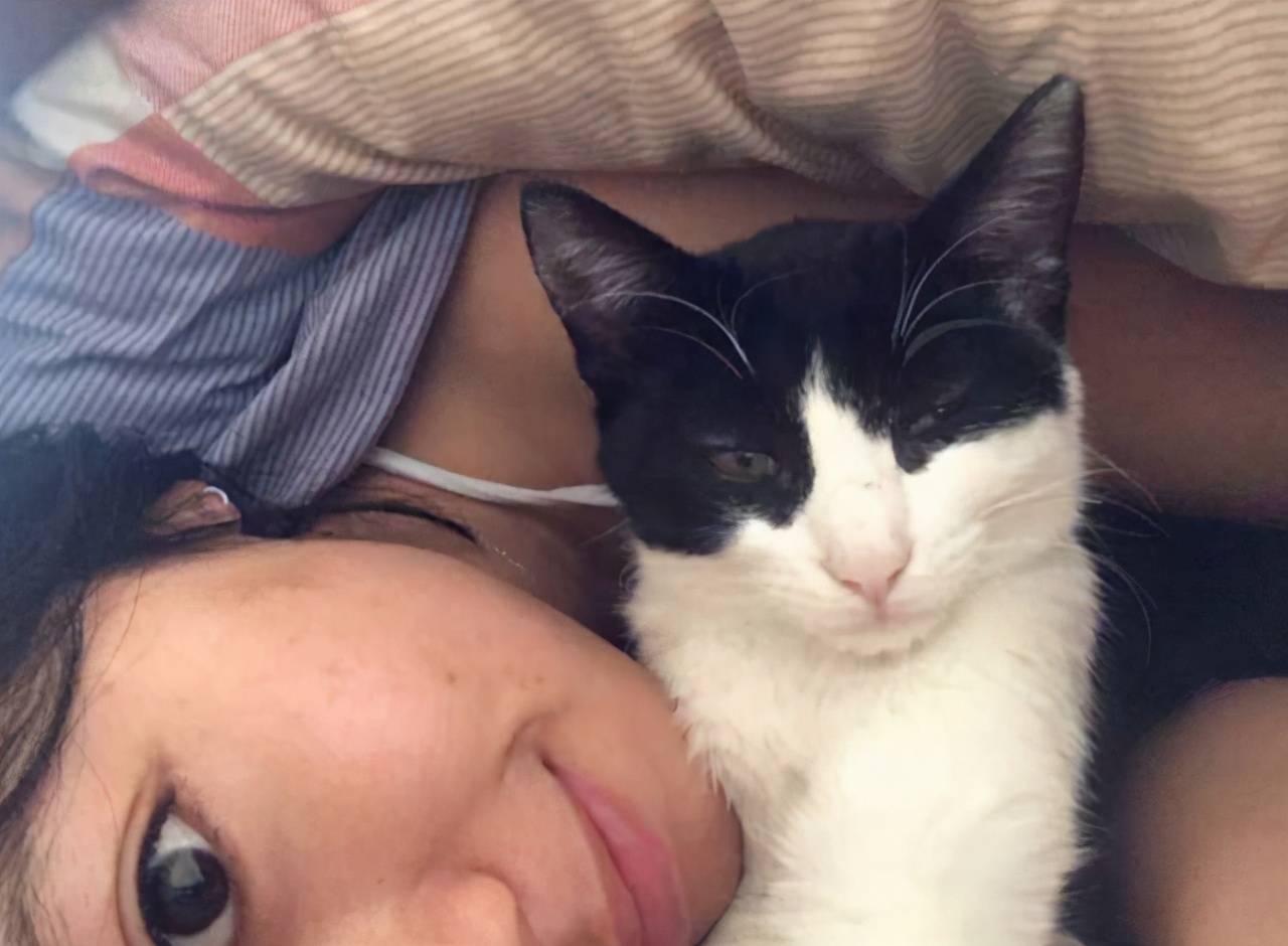 猫咪喜欢睡在你旁边说明什么,猫咪喜欢睡在主人身边什么意思