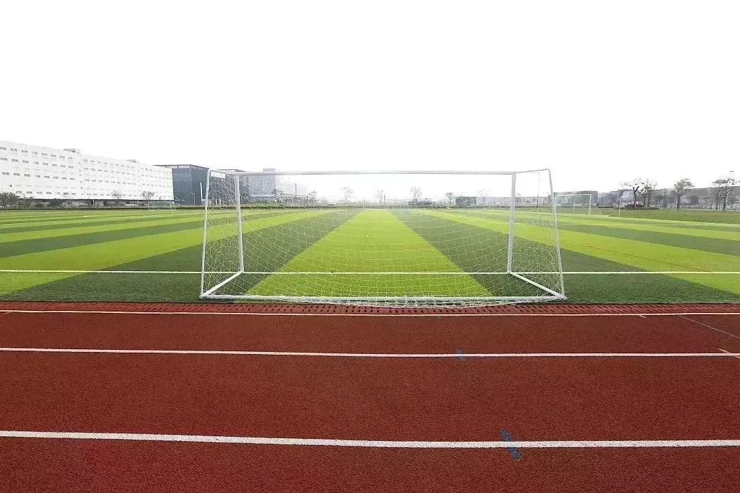 深圳荟同学校课堂录像,深圳荟同学校高中