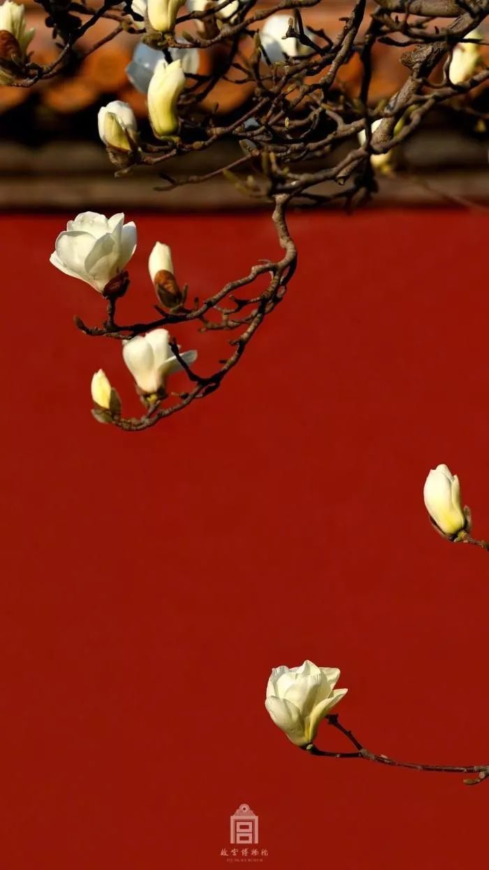 讲述关于北京故宫的故事,故宫六百年讲什么