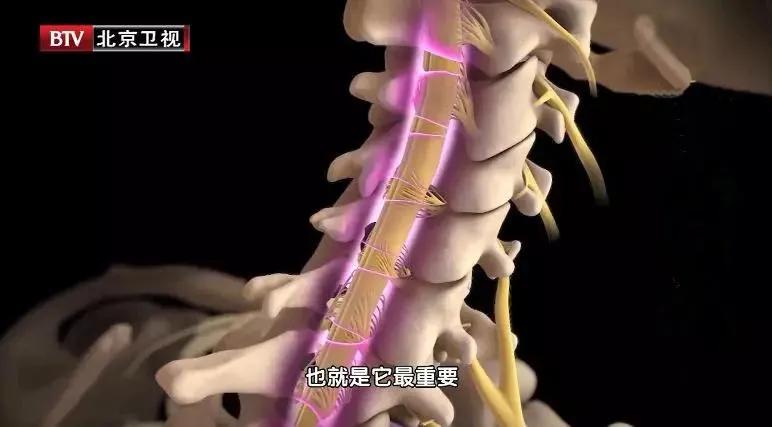 骨刺没有症状需要消除吗,骨刺用什么方法能消掉