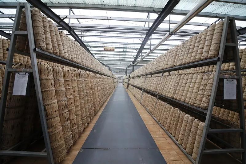 蔡华建的文章稻草人,蔡华建徐闻