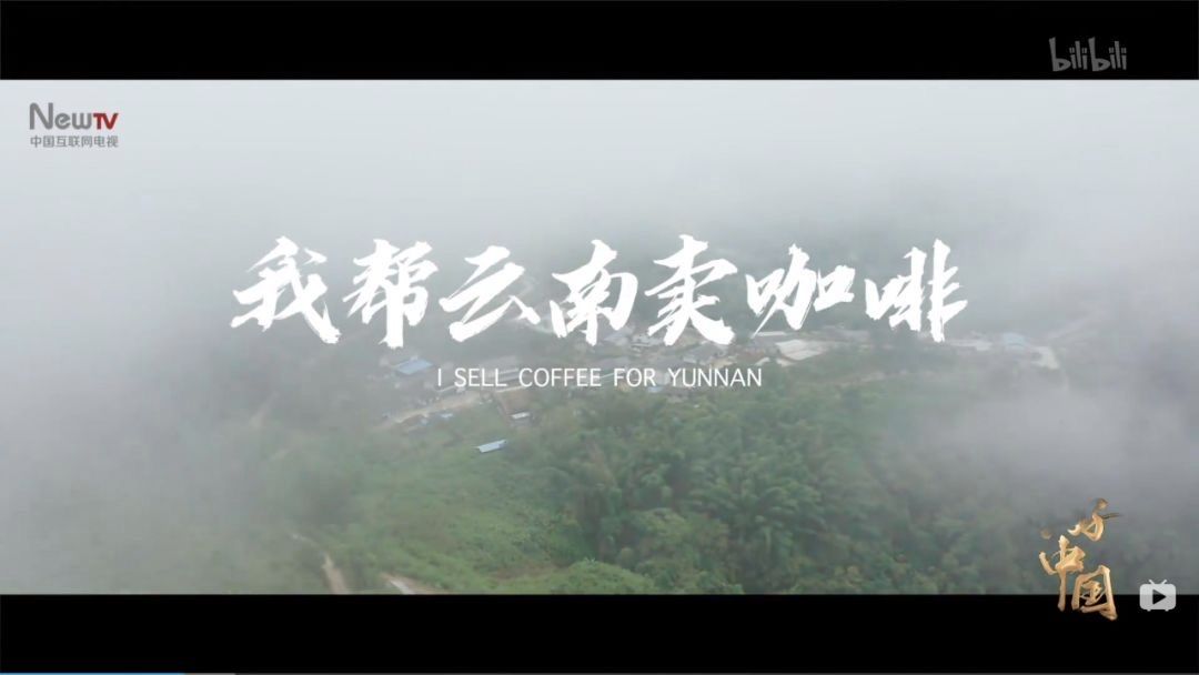 实拍美国纽约医院,美国纽约医院的真实生活