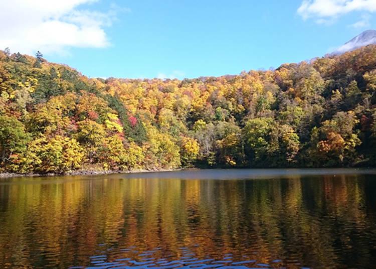 探访北海道的美妙大自然！新雪谷·羊蹄山区域的必访绝美景点