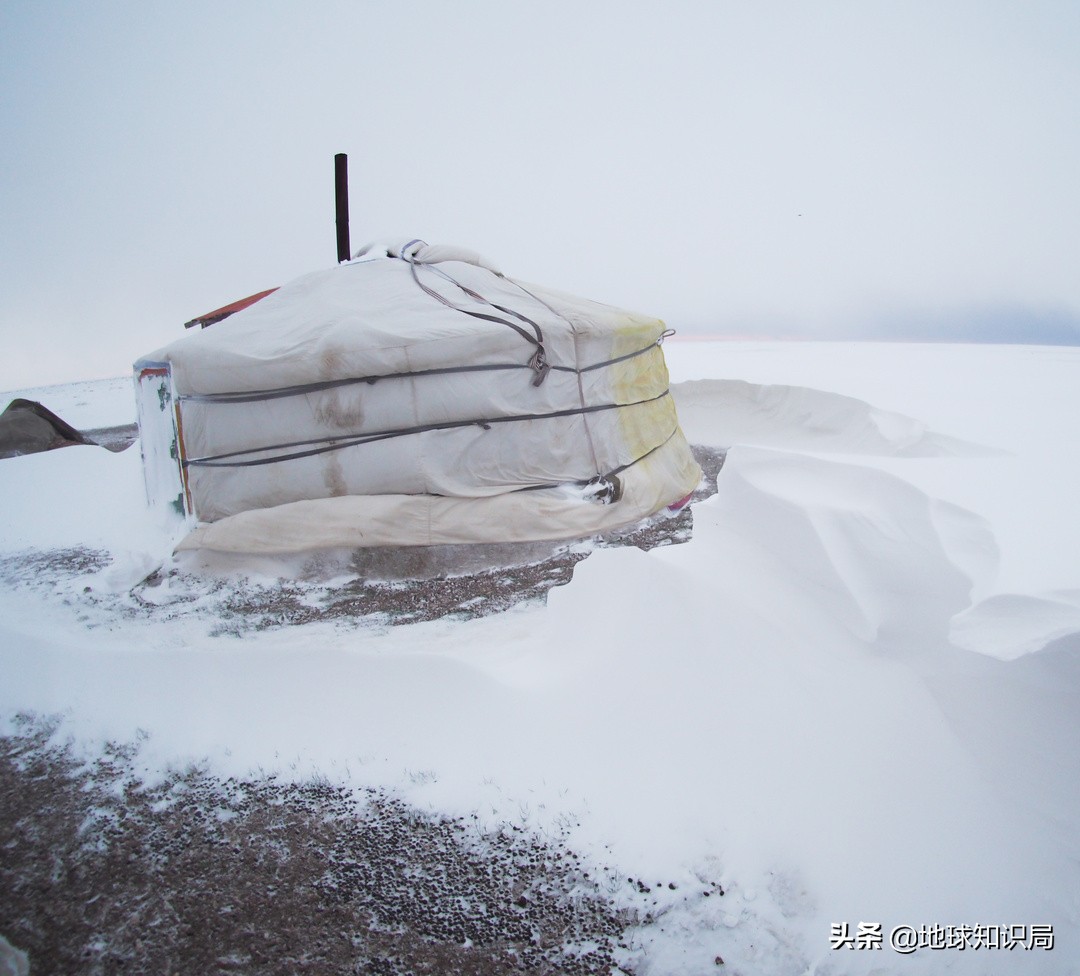 蒙古国农业潜力,蒙古国为什么适合发展畜牧业