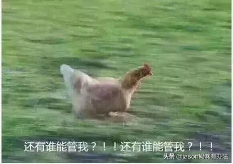 家长暑期账单,南京家长晒出暑期账单