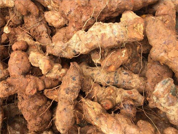 烧仙草里的黑色是凉粉还是龟苓膏,一分钟了解你的五行