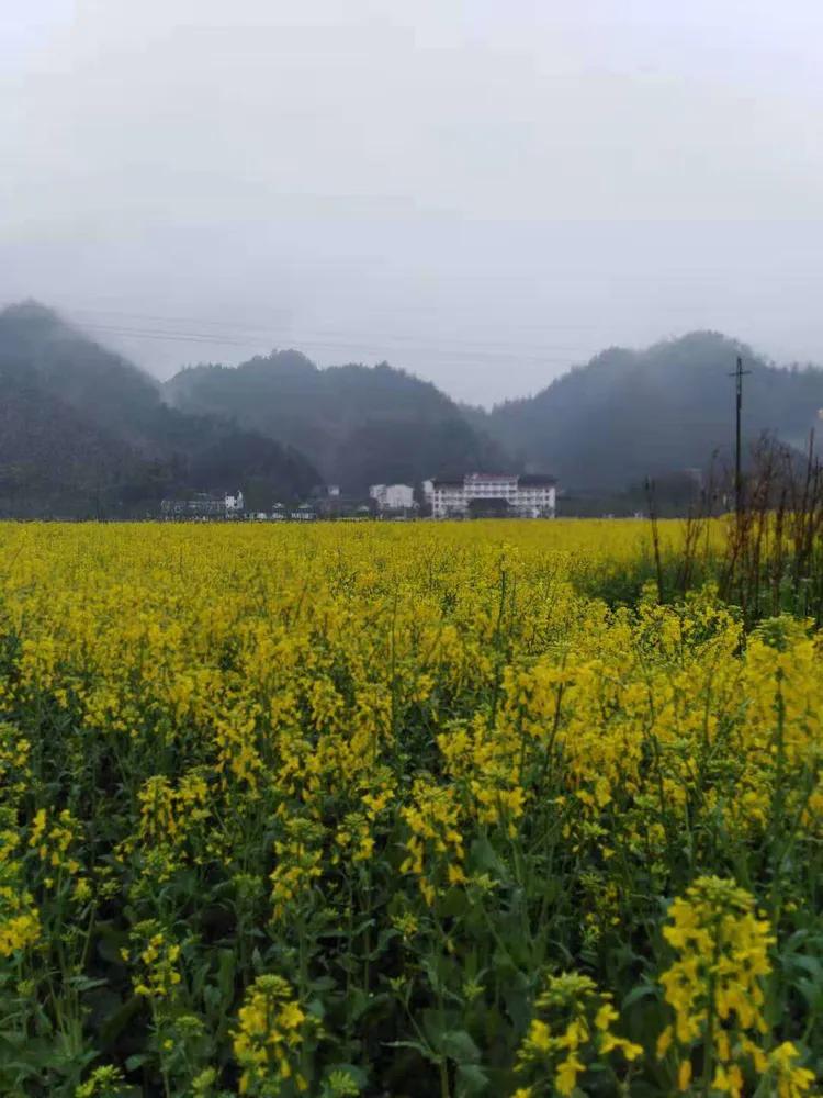 清华战疫实录（一）