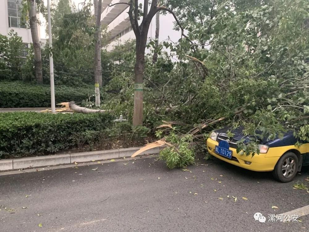 漯河救助站,漯河紧急避难所