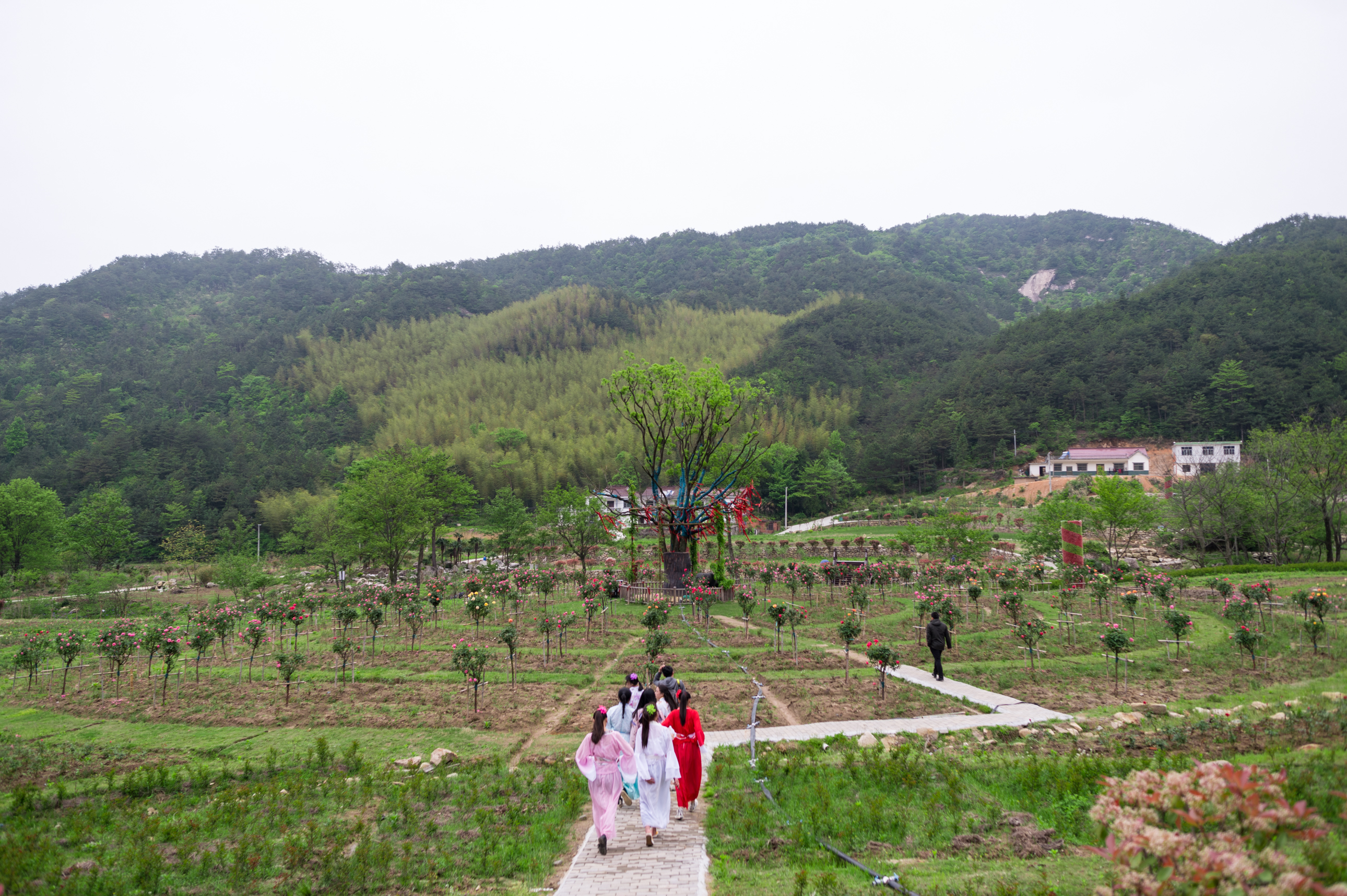 天柱天仙峡,天柱山天仙峡风景图