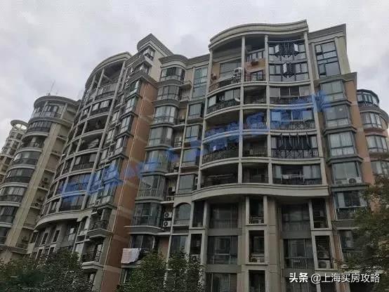 爱建园小区最好的楼盘,上海碧云爱建园复式