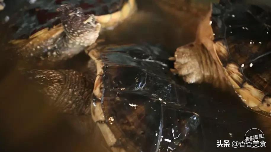 èng菜都吃过,你喝过èng汤吗?