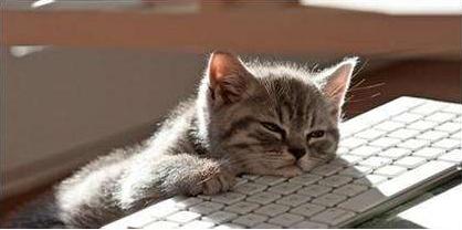 逆水寒手游搬砖一个号挣多少钱,一台电脑在家游戏搬砖推荐