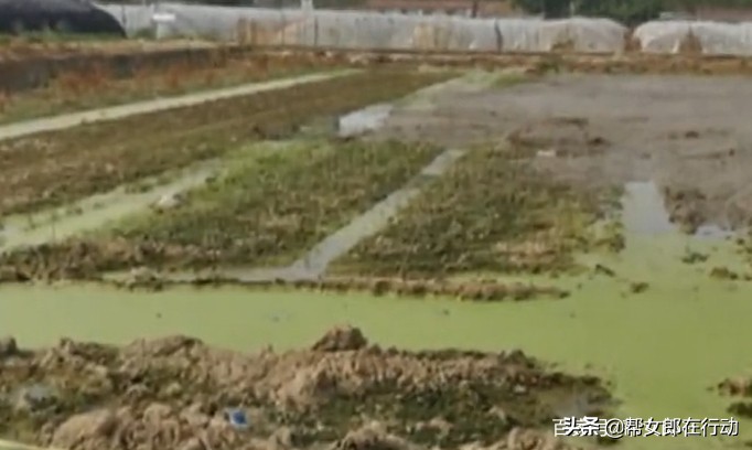 农科院崩溃瞬间,中国农科院与省农科院