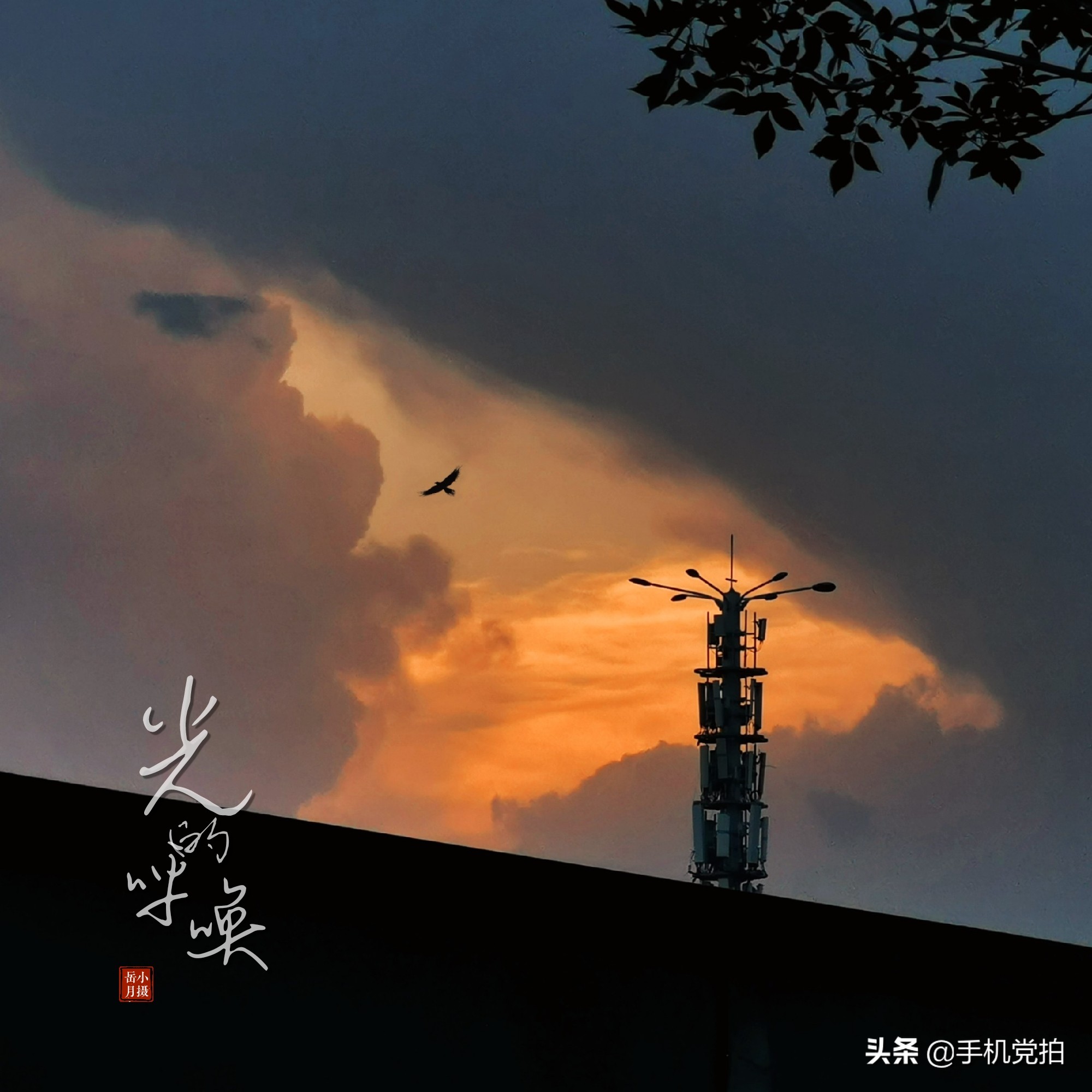 给照片加复古小印章,用美图制作印章