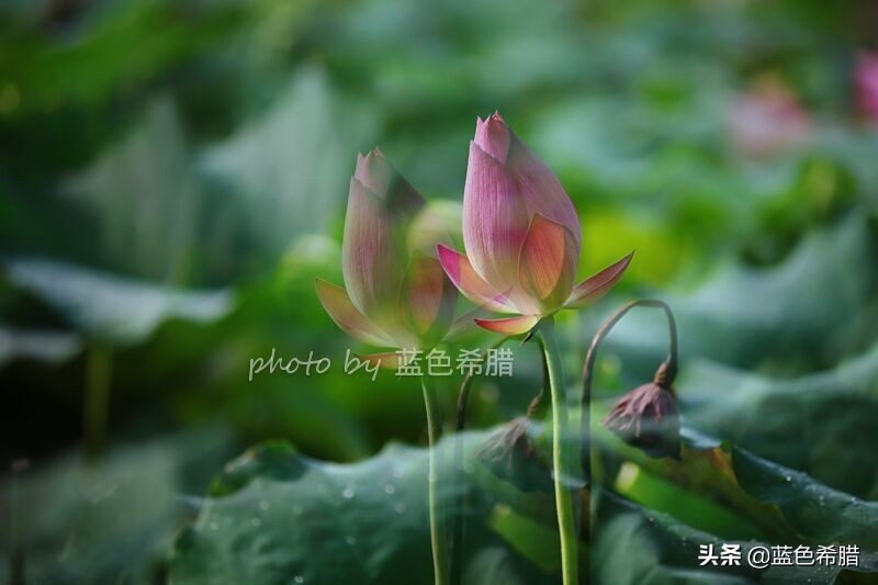 佳能5d370-200人像拍摄参数,佳能5d3拍出的照片带着详细参数