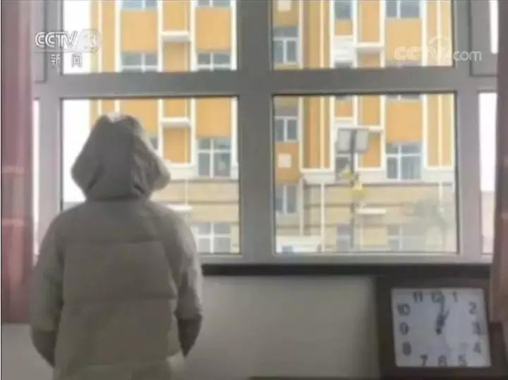 2019年十大刑案点评,2019年十大刑事案件点评排名