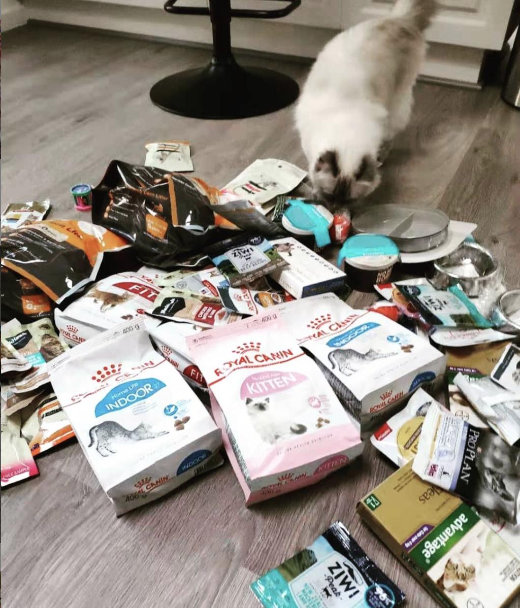 猫粮汇总表格,100种猫粮配方大全