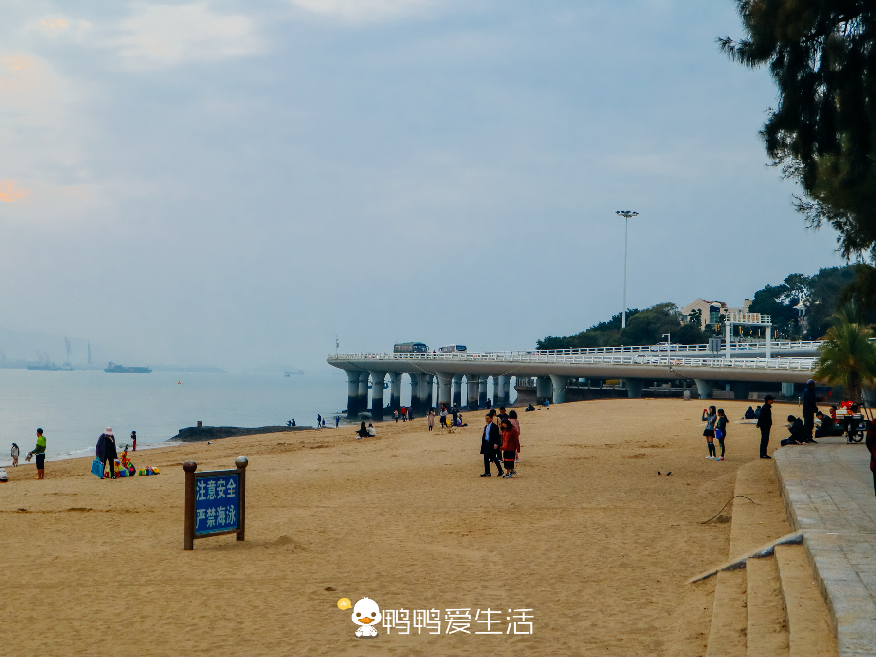 厦门春节期间景点免费有哪些地方,带娃厦门旅游三天攻略景区