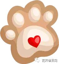 共赴盛会活动,香港国际花卉展