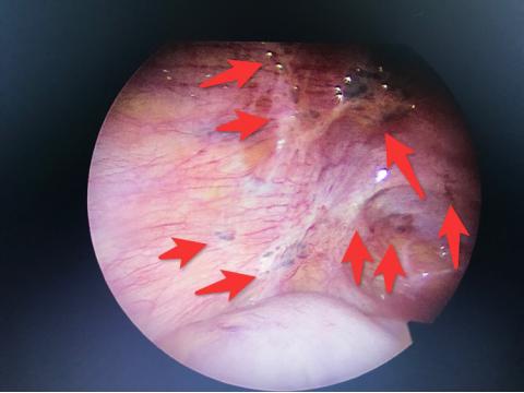 七夕好孕,七夕祝大家怀好孕