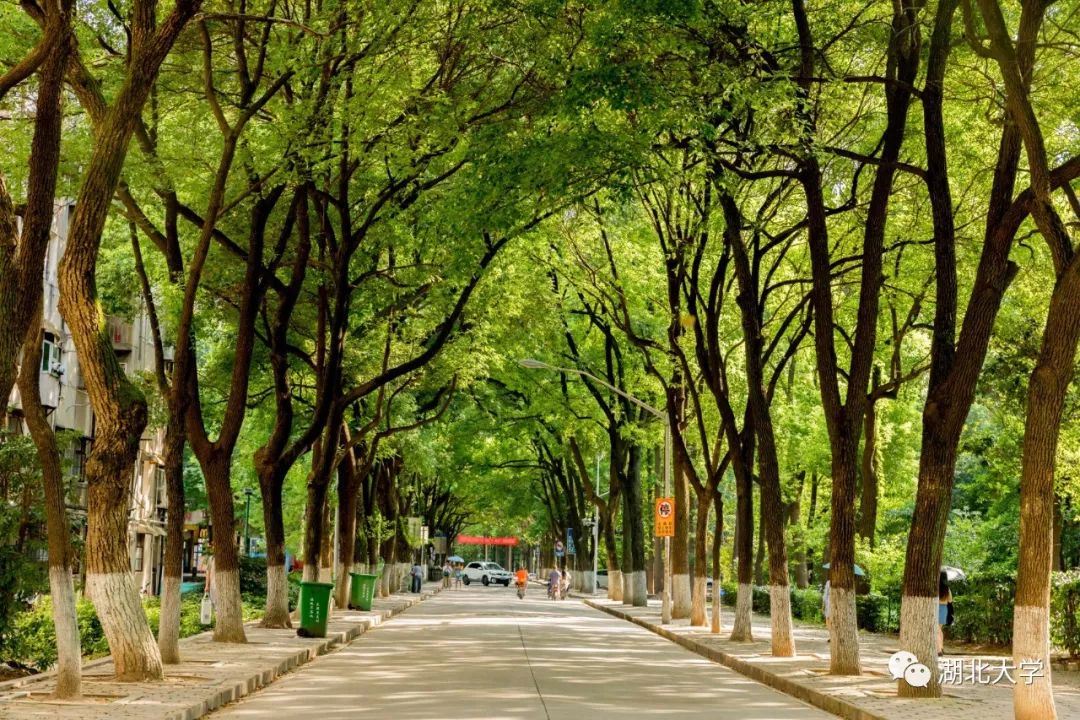 2023年考研报考人数继续飙升,考研关注