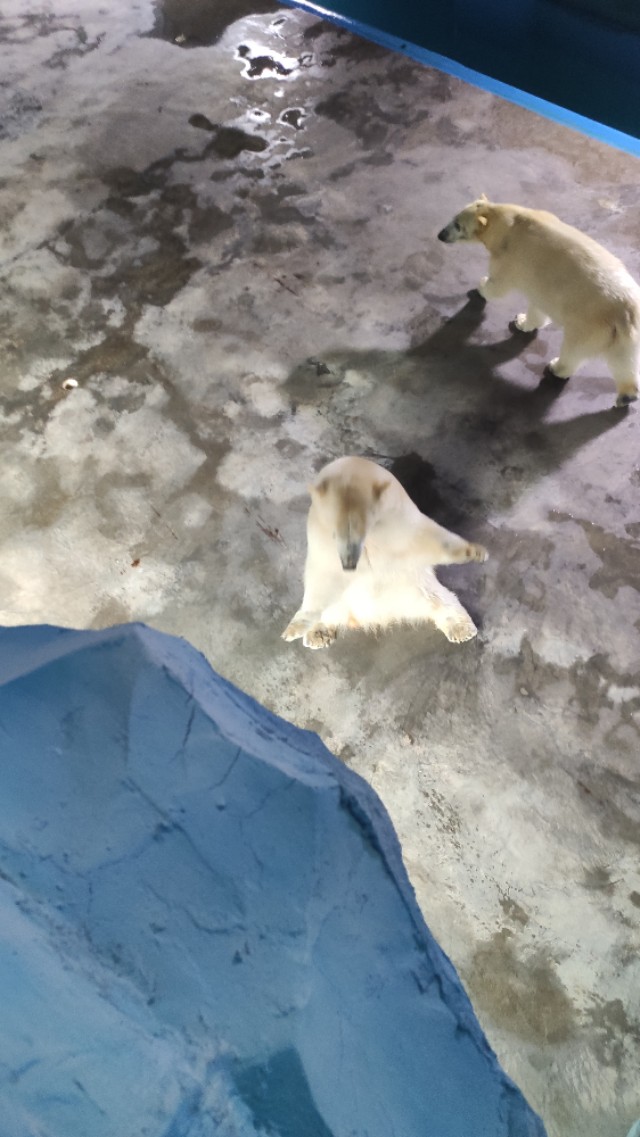 福州欧乐堡海洋世界家庭套票团购,福州欧乐堡海洋世界门票价格