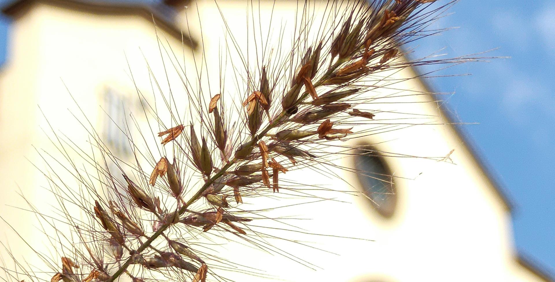 为一部手机的颜值买单魅族18x,魅族18x曝光汇总凭实力说话