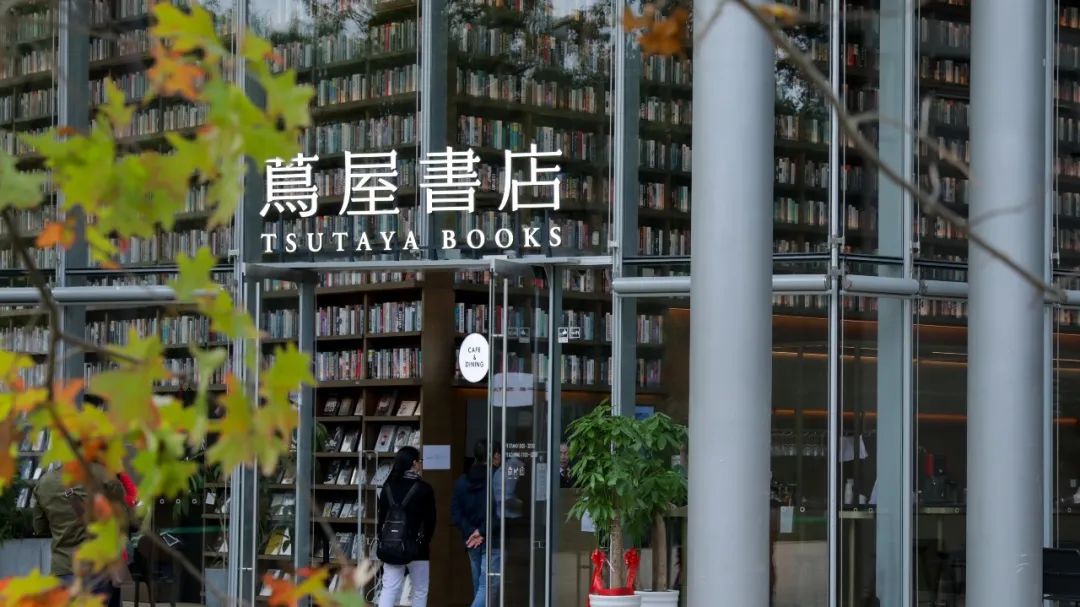 秋天值得逛的地方,秋天最适合旅游的城市推荐