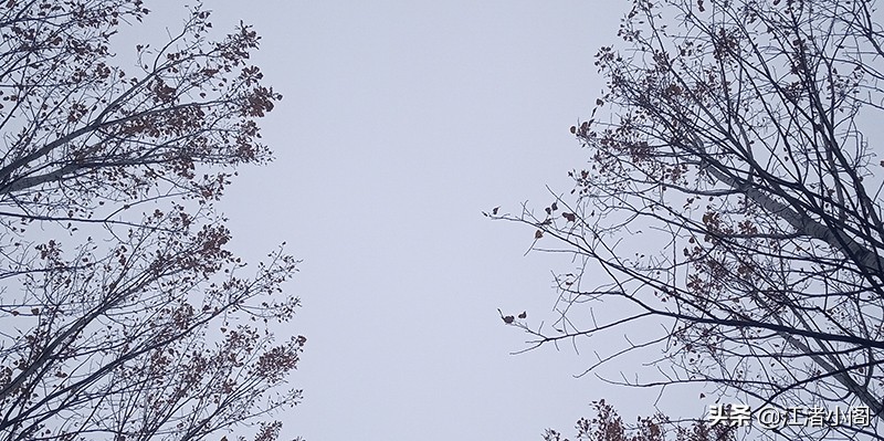 没有工作动力怎么办,工作没有动力情绪低落